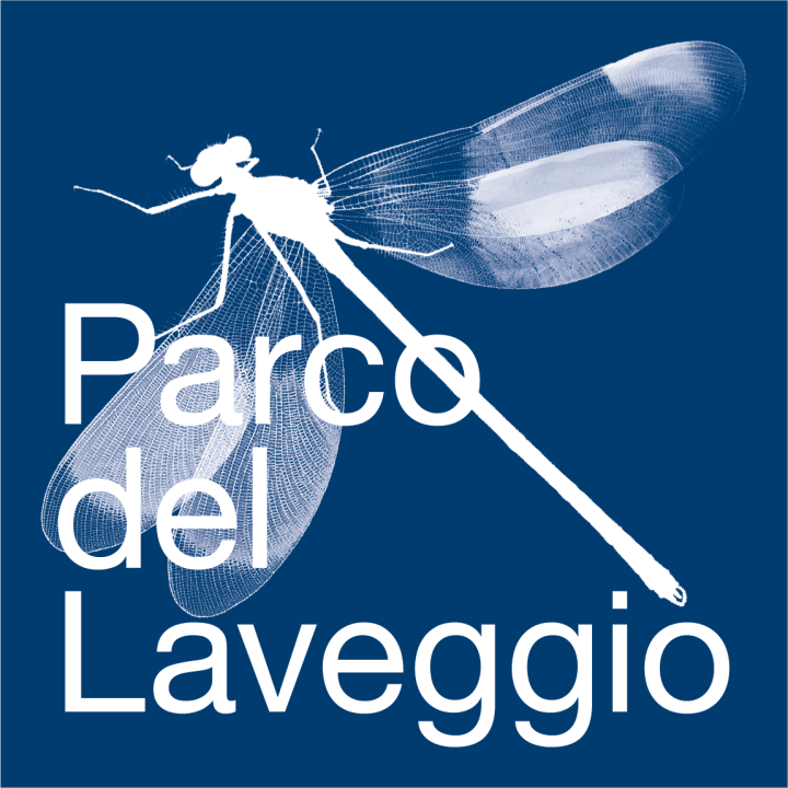 Parco del Laveggio